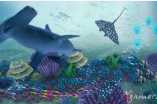 ky9555cc开元手机版